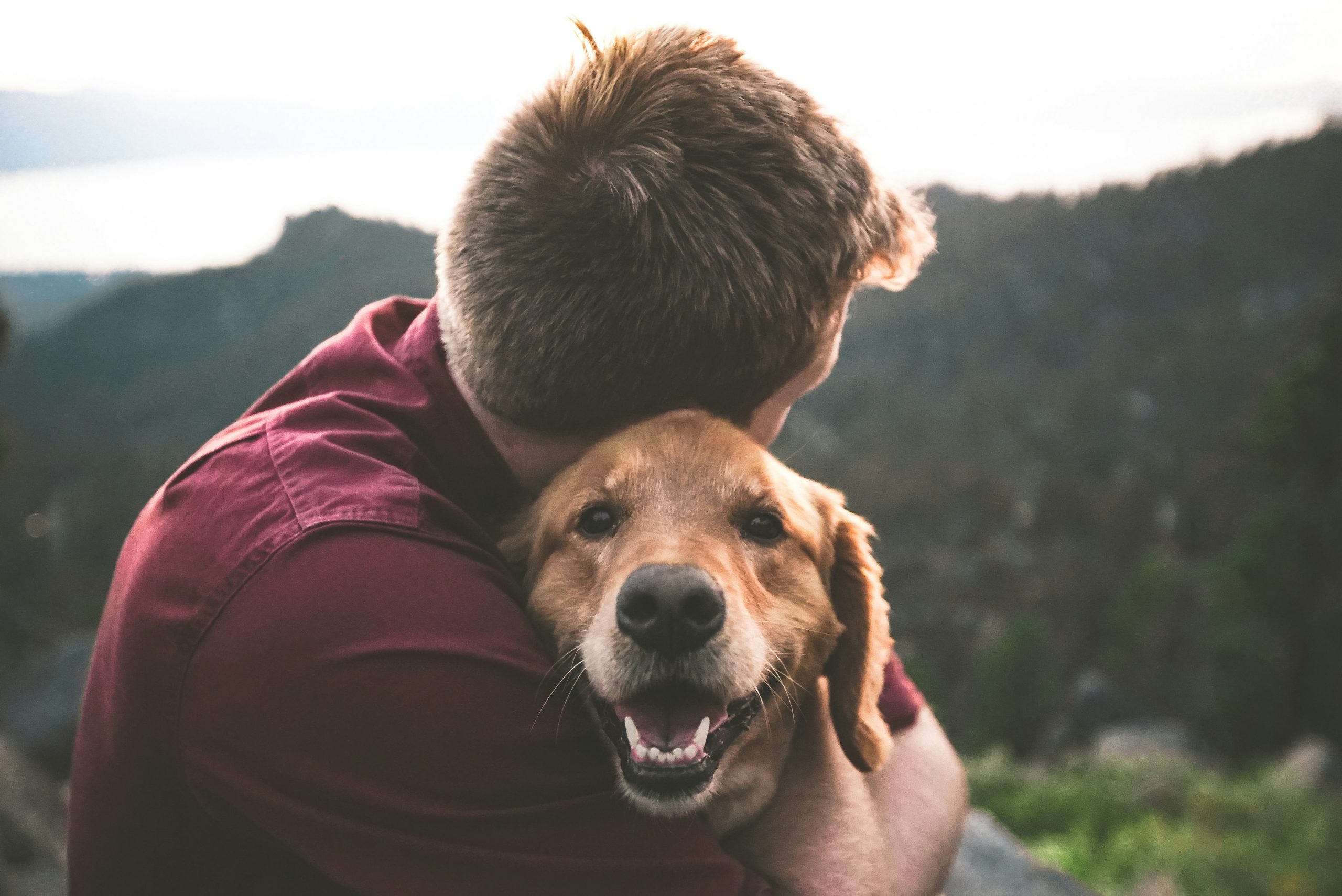 Dog getting hug by owner with mountain in background
